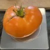 Tomato-Kelloggs-Breakfast-MG-Karen-Schaffer
