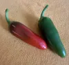 Two short blunt peppers, one red and one green