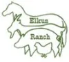 Elkus Ranch ICON