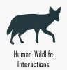 Human-Wildlife Interactions Logo of a coyote