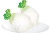 two white daikon radish on a plate with a white background
