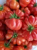 Costoluto Genovese Tomatoes