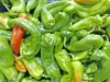Close-up of a pile of bright light green shishito peppers. Most are waxy with wrinkled skin and curved shapes, while a few have ripened to shades of orange and red.
