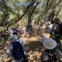 Participants at field training in oak woodlands.