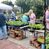 Orange County Master Gardeners