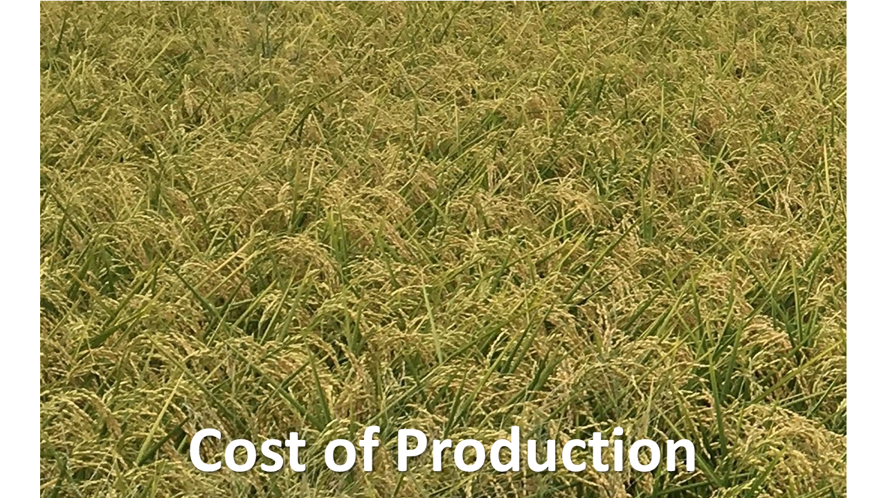 Cost of Production