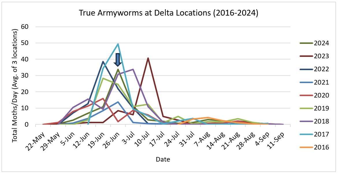 Figure 1. 2016-2024 Delta True Armyworm Trap Counts.