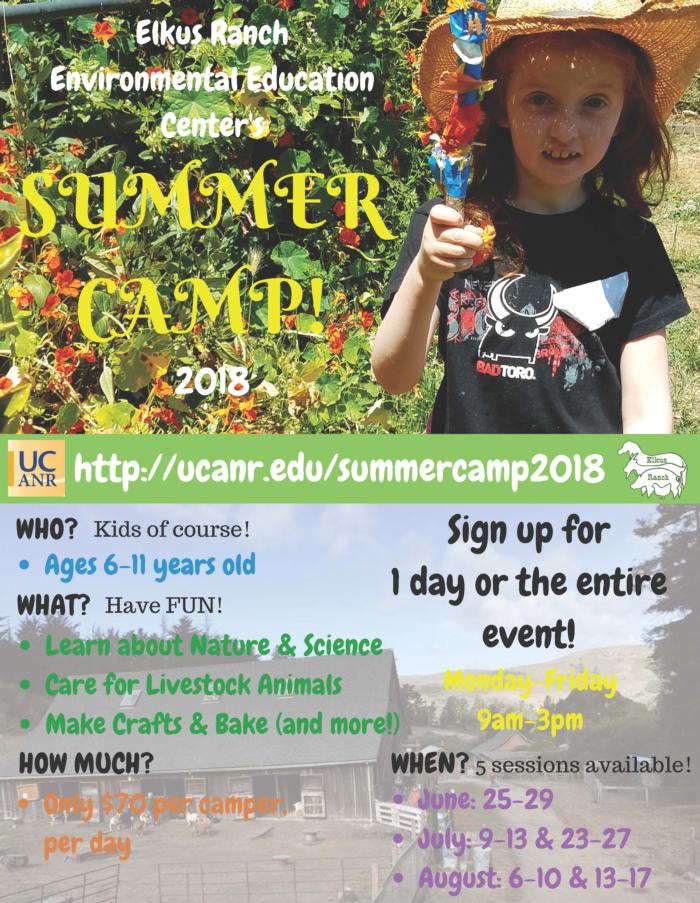 Summer Camp 2018