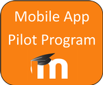 go to pilot program section
