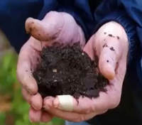 Cupped hands filled with soil