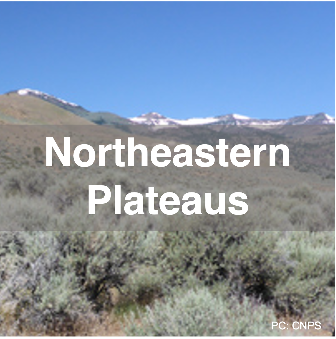 Northeastern Plateaus