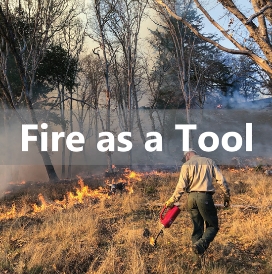 Fire As A Tool