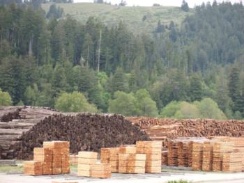 Lumber, logs, young trees, older trees, and forest soil carbon in Humboldt County, CA