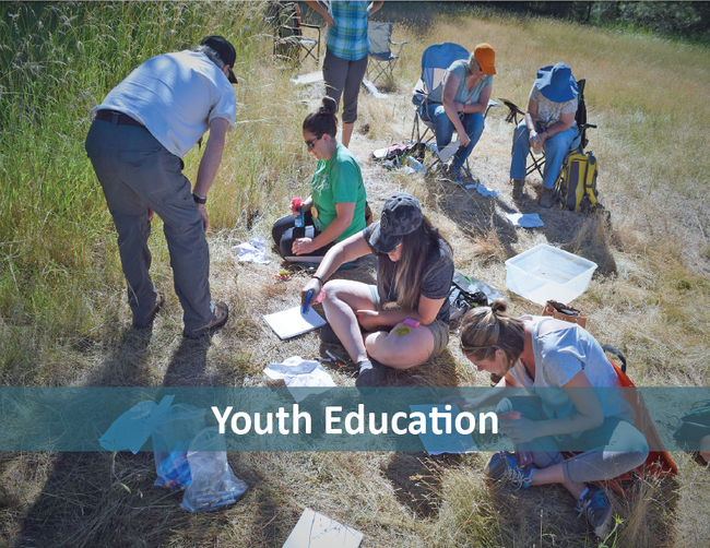 Youth Education