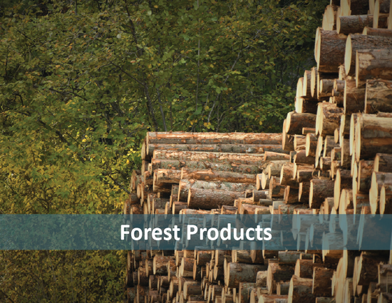 forest products