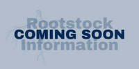 Rootstocks