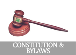Link to Council Constitution and Bylaws Page