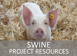 Swine Project Resources Website Page Link