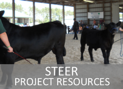 Steer Project Resources Website Page Link