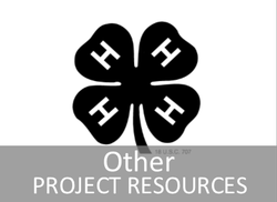 Other Project Resources Website Page Link