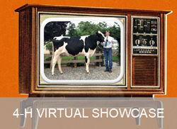 4-H Virtual Showcase Page Link