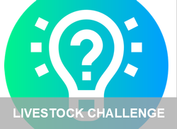 Livestock Challenge Page Link
