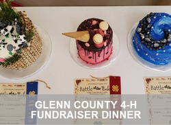 Glenn County 4-H Fundraiser Dinner Page Link