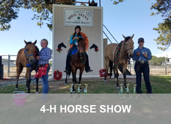 4-H Horse Show Page Link