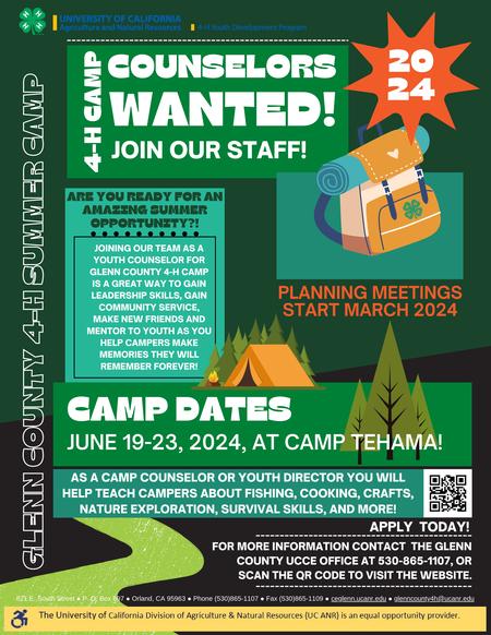 Glenn County 4-H Camp Counselors Wanted Flyer 2024
