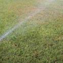 Best Management Practices for Irrigation