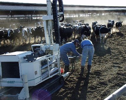 215-Drilling in Corral