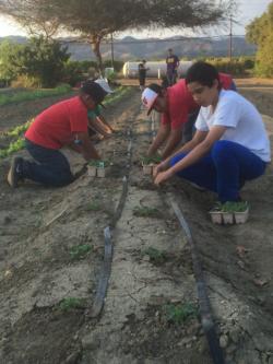 student farm-planting