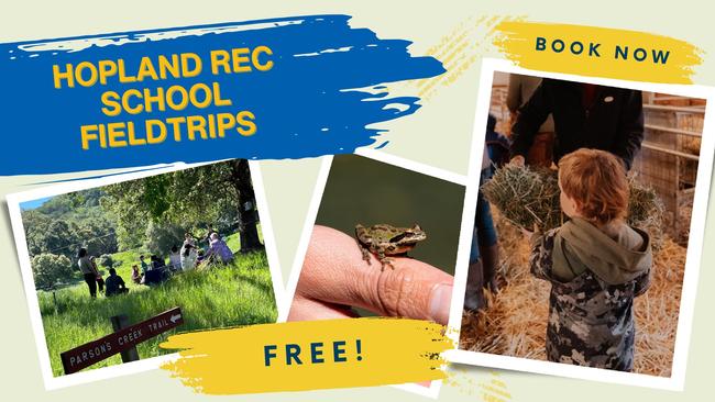 Copy of Schools flyer 23-24 (more pics) (Blog Banner)