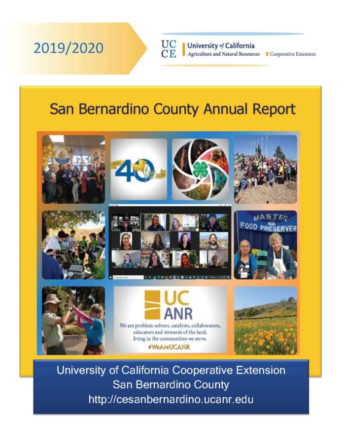 Pages from SB County Annual Report Final 2020
