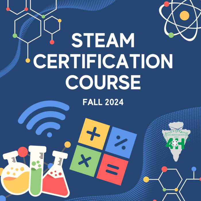 STEAM Certification Course (2)