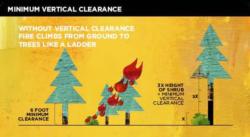 Vertical Clearance
