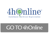 4hOnline Logo
