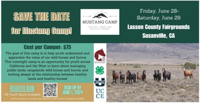 4-H Mustang Camp June 28-29, 2024