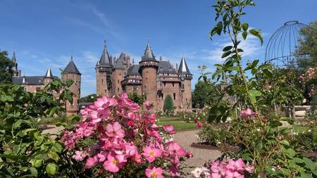 De Haar Castle Rose Garden