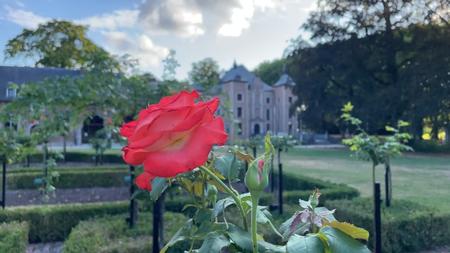 Formal Rose Garden at Coloma Castle