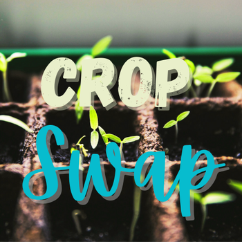 Clovis Crop Swap 3.11.23