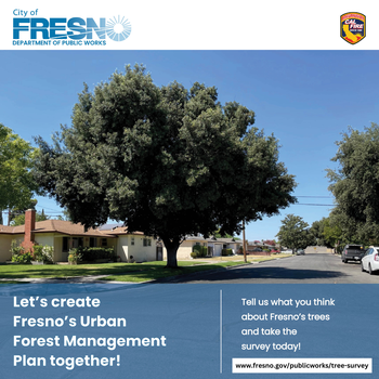Fresno Tree survey