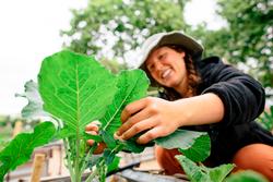 person in veggie garden