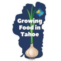 Growing Food in Tahoe (6)