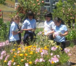 Children in flower garden