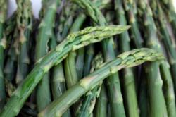 Asparagus, from UC ANR repository, no attribution required