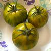 Tomato-Green-Zebra-MG-Jim-Maley