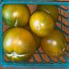 Tomato-Lime-Green-Salad-MG-Laura-Westley
