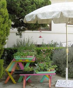 Patio umbrella and plants Karen Schaffer