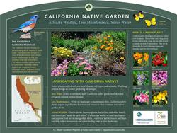 California Native Garden